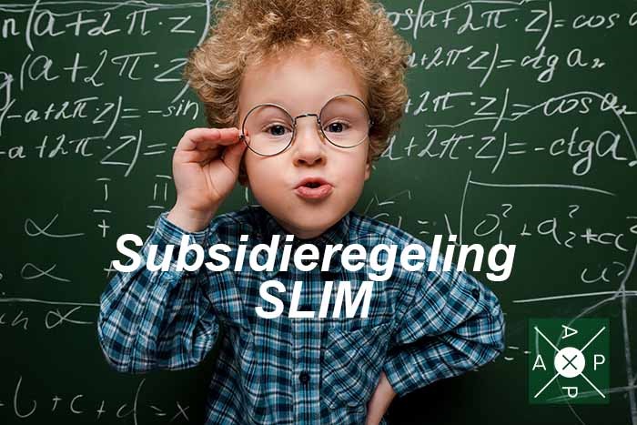 Subsidieregeling SLIM